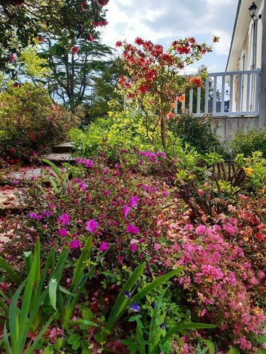 Maison a vendre Guidel 56520 Morbihan 120 m2  561060 euros