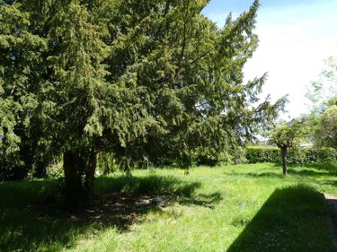 Maison a vendre Amboise 37400 Indre-et-Loire 76 m2  365690 euros