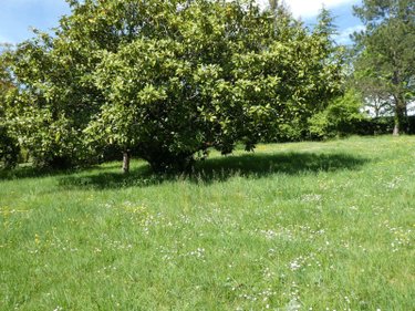 Maison a vendre Amboise 37400 Indre-et-Loire 76 m2  365690 euros