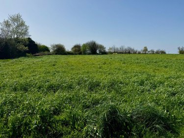 Maison a vendre Plouguin 29830 Finistère 136 m2 6 pièces 229450 euros