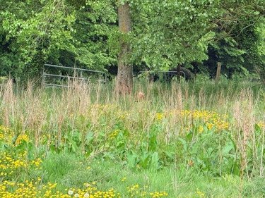 Maison a vendre Boisjean 62170 Pas-de-Calais 122 m2 6 pièces 115948 euros