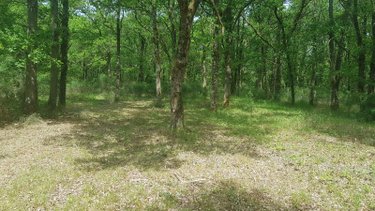 Terrains de loisirs bois etangs a vendre Langon sur Cher 41320 Loir-et-Cher 20335 m2  91500 euros