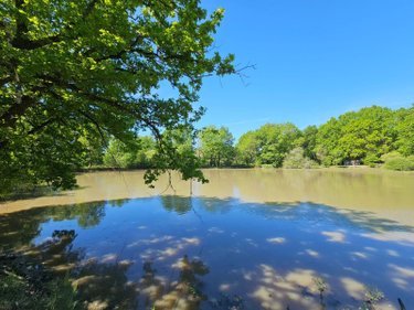 Terrains de loisirs bois etangs a vendre Langon sur Cher 41320 Loir-et-Cher 20335 m2  91500 euros