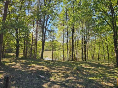 Terrains de loisirs bois etangs a vendre Langon sur Cher 41320 Loir-et-Cher 20335 m2  91500 euros