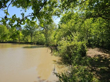 Terrains de loisirs bois etangs a vendre Langon sur Cher 41320 Loir-et-Cher 20335 m2  91500 euros