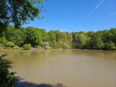 Terrains de loisirs bois etangs a vendre Langon sur Cher 41320 Loir-et-Cher 20335 m2  91500 euros
