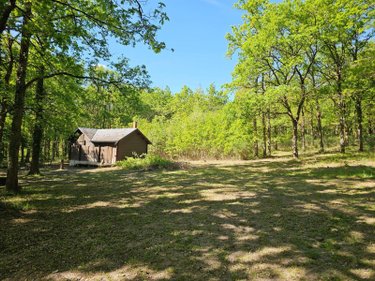 Terrains de loisirs bois etangs a vendre Langon sur Cher 41320 Loir-et-Cher 20335 m2  91500 euros