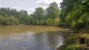 Terrains de loisirs bois etangs a vendre Langon sur Cher 41320 Loir-et-Cher 20335 m2  91500 euros