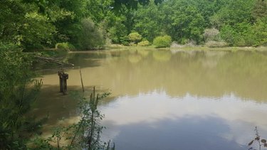 Terrains de loisirs bois etangs a vendre Langon sur Cher 41320 Loir-et-Cher 20335 m2  91500 euros