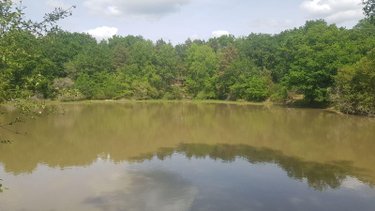 Terrains de loisirs bois etangs a vendre Langon sur Cher 41320 Loir-et-Cher 20335 m2  91500 euros
