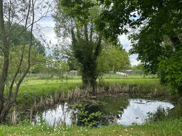 Maison a vendre Saint-Georges-sur-Cher 41400 Loir-et-Cher 150 m2 6 pièces 241267 euros