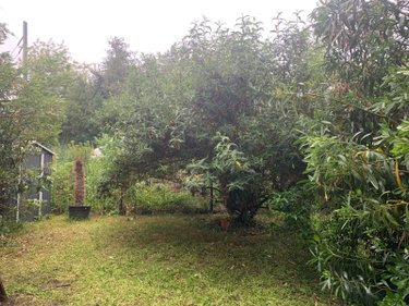 Appartement a vendre Le Bouscat 33110 Gironde 38 m2 2 pièces 190800 euros