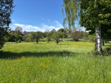 Terrains de loisirs bois etangs a vendre Remilly-Aillicourt 08450 Ardennes 2670 m2  12000 euros