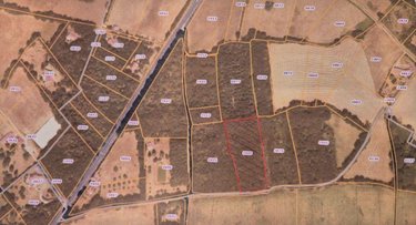 Terrains de loisirs bois etangs a vendre Beaufay 72110 Sarthe 8900 m2  8560 euros