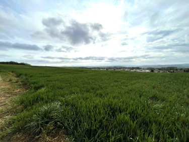 Terrain a batir a vendre Saint-Vit 25410 Doubs 730 m2  91000 euros