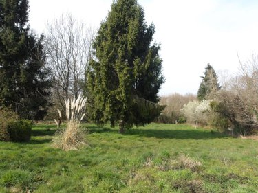 propriete a vendre Bétête 23270 Creuse 152 m2  127920 euros