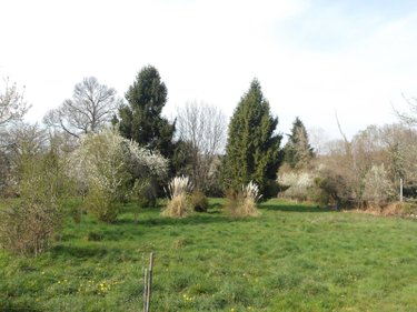 propriete a vendre Bétête 23270 Creuse 152 m2  127920 euros