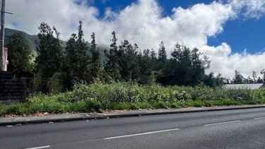 Terrain a batir a vendre La Plaine-des-Palmistes 97431 Réunion 1777 m2  190000 euros