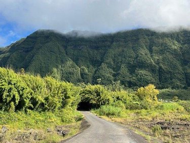 Terrain a batir a vendre La Plaine-des-Palmistes 97431 Réunion 1777 m2  190000 euros