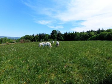 propriete a vendre Ménil-Hubert-sur-Orne 61430 Orne 78 m2 3 pièces 259180 euros