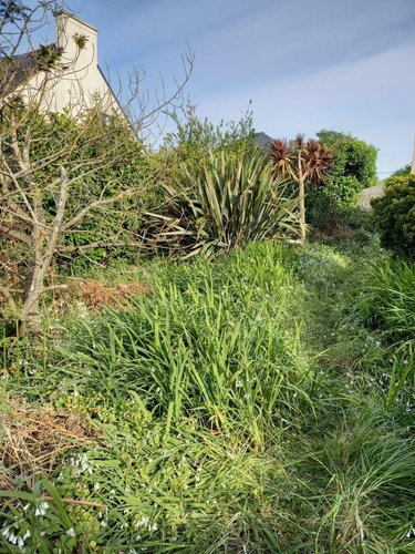 Maison a vendre Crozon 29160 Finistère 60 m2 4 pièces 127200 euros