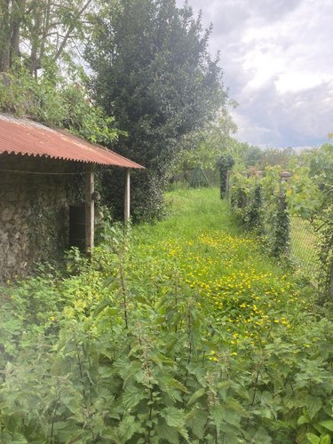 Maison a vendre Louverné 53950 Mayenne 53 m2 2 pièces 86720 euros
