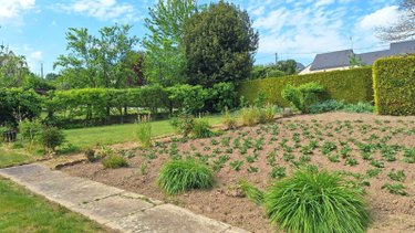 Maison a vendre Montenay 53500 Mayenne 77 m2 4 pièces 131250 euros