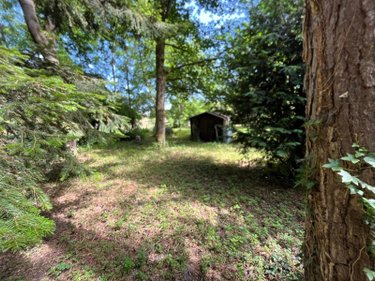 Terrains de loisirs bois etangs a vendre Larchant 77760 Seine-et-Marne 3579 m2  99000 euros