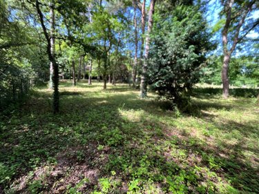 Terrains de loisirs bois etangs a vendre Larchant 77760 Seine-et-Marne 3579 m2  99000 euros