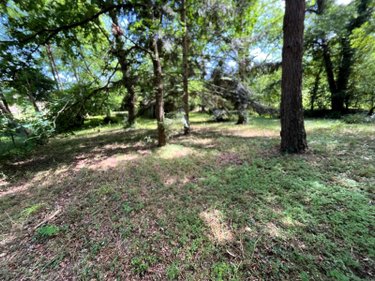 Terrains de loisirs bois etangs a vendre Larchant 77760 Seine-et-Marne 3579 m2  99000 euros