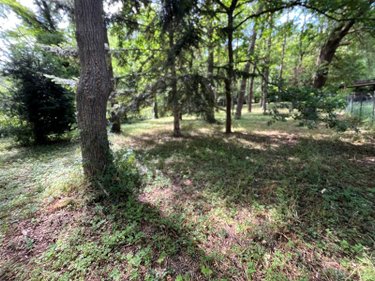 Terrains de loisirs bois etangs a vendre Larchant 77760 Seine-et-Marne 3579 m2  99000 euros