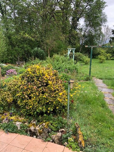 Maison a vendre Saint-Amand-sur-Ornain 55500 Meuse 185 m2 5 pièces 169000 euros