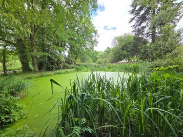 Maison a vendre Saint-Jean-la-Poterie 56350 Morbihan 126 m2 5 pièces 158160 euros