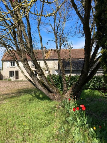 Maison a vendre Ligré 37500 Indre-et-Loire 170 m2 6 pièces 243200 euros
