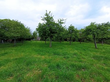 Maison a vendre Cahan 61430 Orne 70 m2 4 pièces 85200 euros