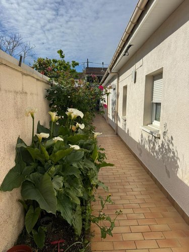 Maison a vendre Cenon 33150 Gironde 54 m2 3 pièces 207900 euros