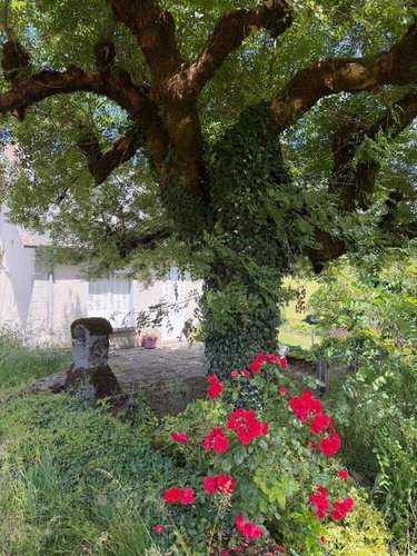 Maison a vendre Barriac-les-Bosquets 15700 Cantal 99 m2 5 pièces 95400 euros