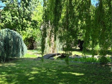 Maison a vendre Saint-Amand-Montrond 18200 Cher 416 m2 13 pièces 646800 euros