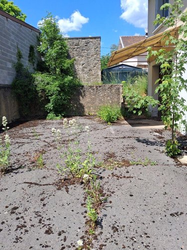 Maison a vendre Rachecourt-sur-Marne 52170 Haute-Marne 125 m2 4 pièces 101900 euros