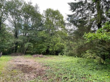 Terrains de loisirs bois etangs a vendre Villedieu 21330 Côte-d'Or 1246 m2  13600 euros