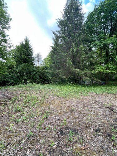 Terrains de loisirs bois etangs a vendre Villedieu 21330 Côte-d'Or 1246 m2  13600 euros