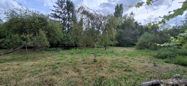 Terrains de loisirs bois etangs a vendre Rethel 08300 Ardennes 3125 m2  24000 euros
