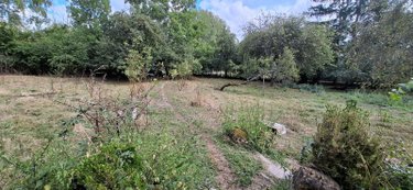 Terrains de loisirs bois etangs a vendre Rethel 08300 Ardennes 3125 m2  24000 euros