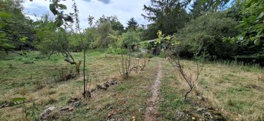 Terrains de loisirs bois etangs a vendre Rethel 08300 Ardennes 3125 m2  24000 euros