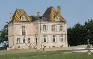 propriete a vendre Saint-Jean-sur-Reyssouze 01560 Ain 350 m2 11 pièces 3500000 euros
