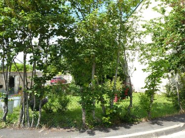 Terrain a batir a vendre Bléré 37150 Indre-et-Loire 174 m2  37100 euros