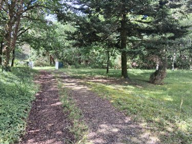 Maison a vendre Bedenac 17210 Charente-Maritime 90 m2 5 pièces 81000 euros