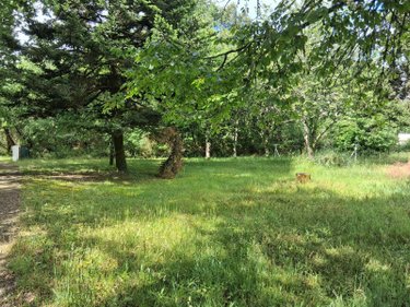 Maison a vendre Bedenac 17210 Charente-Maritime 90 m2 5 pièces 81000 euros