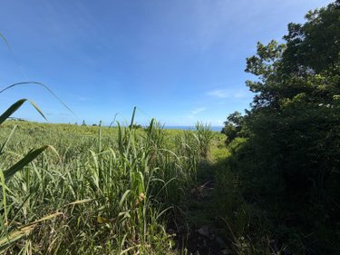 Bien agricole a vendre SAINTE-ANNE 97437 Réunion  149900 euros
