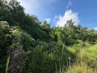 Bien agricole a vendre SAINTE-ANNE 97437 Réunion  149900 euros